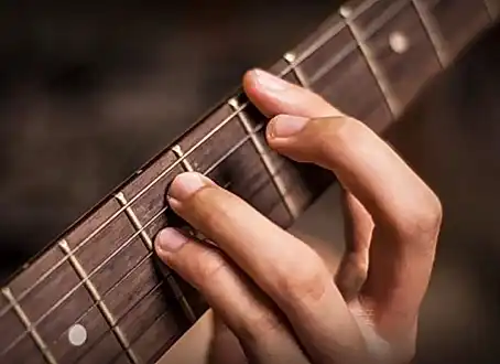 Akort nedir ve niçin önemlidir?