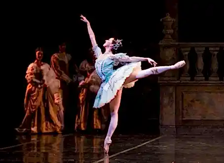 Bale İle Kariyer Olanakları