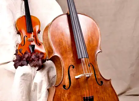 Çello ile Keman Arasındaki Farklar