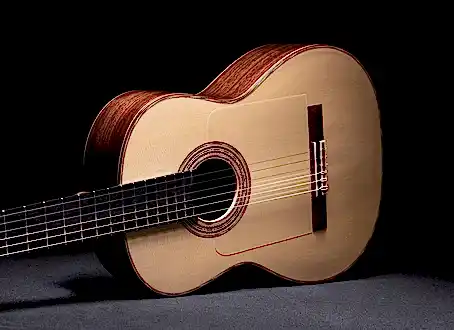 Flamenko Gitar Nedir?